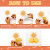First Trip Around The Sun Decorations, First Birthday Decorations for Girl Include Boho Sun Banner Hanging Swirls and Honeycomb Centerpiece, 1st Birthday Party Supplies Girl