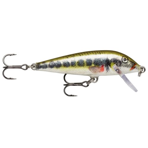 Rapala Countdown 3/16 Oz Fishing lure (Brook Trout, Size- 2)