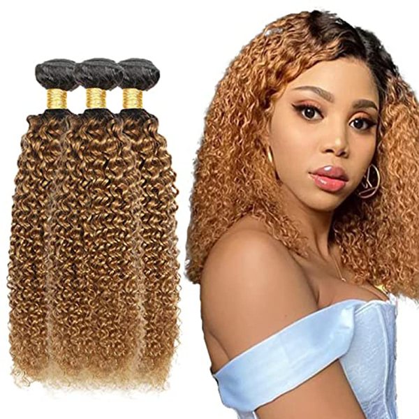 Curly Wave Honey Blonde Bundles Brazilian Remy Hair Bundle Weaves For Women Grade 8A Hair Weave Double Weft Hair Extensions 1B27 Bundles 12 14 16 Inch