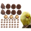 AEspares 41 Pieces Bird Toys Interactive and Durable Play Toys for Pet Birds Parrots Cockatiels Conures Caiques Parakeet Budgies Other Parrots Breeds and Birds Breeds