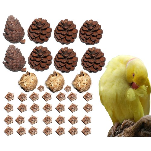 AEspares 41 Pieces Bird Toys Interactive and Durable Play Toys for Pet Birds Parrots Cockatiels Conures Caiques Parakeet Budgies Other Parrots Breeds and Birds Breeds