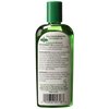 Hollywood Beauty Peppermint Hair Oil, 8oz Bottle, Conditions both hair and skin, Natural Treatment that Dries Itchy Scalps & Moisturizes Hair & Skin, Omega-3 Fatty Acids, Vitamin A & C