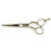 Hair Cutting Scissors, Titanium Coated 5.5" Professional Barber Hairdressing Scissors & 5.5" Thinning Shears (Gold) 440C Japanese Stainless Steel Set for Personal/Professional use by DreamCut