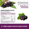 Pomona Wellness Elderberry Gummies with Zinc and Vitamin C for Immune Support 3-1 Chewable Black Elderberry Gummy Supplement for Kids and Adults, Vegan, 90 Gummies