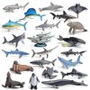 Sea Animal Model Ocean Creatures Playsets 22 PCS Mini Shark Whale Tuna Swordfish Sailfish Sardine Dolphin Manatee Sea Lion Walrus Action Figure Toys Party Gifts for Boys Girls Kids