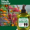 Hair Chemist Jamaican Black Castor Oil Scalp Stimulator 7.1 oz