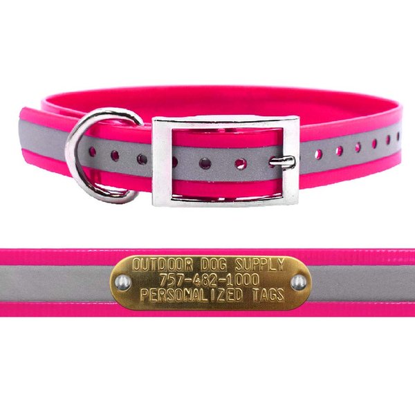 Outdoor Dog Supply's 1" Wide Reflective D Ring Dog Collar Strap with Custom Brass Name Plate (21" Long, Reflective Pink)