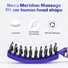 Wet Hair Brush Detangling Brush for Wet & Dry, Detangler Brush for Blow Drying, Curved Vented Wet Hair Brushes for Women Kids, Detangling Brush for Wet Dry 2 Pack (Purple+Blue)…