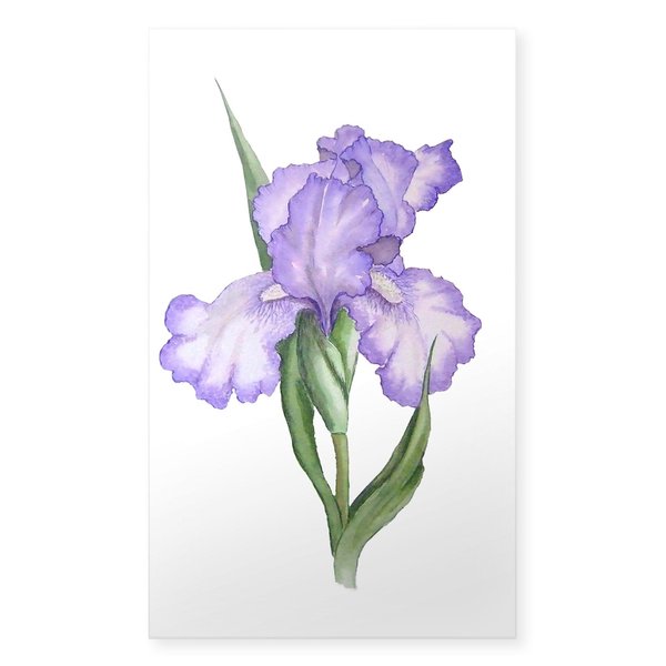 CafePress The Purple Iris Rectangle Bumper Sticker Car Decal