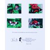 Butterfly Note Cards Original Elegant Photographic Textured White Blank 4.25"x 5.50" Boxed Set 8 W/Matching Envelopes in Plastic Jacket Thank You Invitations Birthdays Greetings