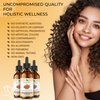 Frankincense Oil - 100% Pure, Natural, Therapeutic Grade Oil for Skin, for Body, for Hair (2 Oz)