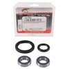 All Balls Racing 25-1753 Wheel Bearing Kit Front Compatible With/Replacement For Suzuki DR-Z 400 2000-2003, DRZ400SM, DRZ400S 2017, DR-Z 400 SM 2005-2016, DR-Z 400 S 2000-2016, DR-Z 400 E 2000-2007