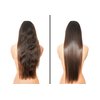 Difeel Superior Growth Jamaican Black Castor Shampoo 12 oz. - Sulfate Free Shampoo made with Natural Ingredients