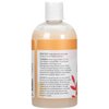 Ginger Lily Farms Botanicals Nourishing Body Wash, Coco Mango, 100% Vegan & Cruelty-Free, Coconut Mango Scent, 12 Fl Oz