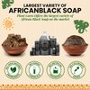 African Black Soap Liquid 8 oz. 100% Raw Pure Natural From Ghana. Acne Treatment, Aids Against Eczema & Psoriasis, Dry Skin, Scars and Dark Spots. Great For Pimples, Blackhead, Face & Body Wash