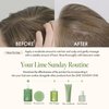 Lime Sunday Refresh Shampoo with Vitamin C, Green Mint, Almond Powder for Gentle Exfoliation and Deep Cleansing Oily Scalp, Lime Citrus Scent, Silicone, Sulfate & Paraben Free (450ml / 15.22 fl.Oz)