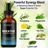 Breathe Essential Oil for Diffuser - Essential Oil Blend with Eucalyptus Peppermint Tea Tree and Peppermint, Breathe Easy Essential Oil for Humidifier, Rub, and Aromatherapy