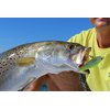 Yo-Zuri R1207-GHIW 3D Inshore Twitchbait, Color, Sardine, 70mm 2-3/4"