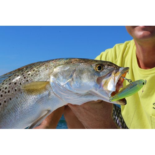 Yo-Zuri R1207-GHIW 3D Inshore Twitchbait, Color, Sardine, 70mm 2-3/4"