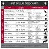 Buckle-Down Dog Collar Plastic Clip Dots White Transparent Multi Color 18 to 32 Inches 1.5 Inch Wide