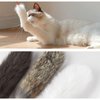 Interactive Cat Toy, Bite Resistant Cat Toys for Indoor Toys Soft Flexible Cat Teaser Wand Toy Plush Cat Teaser Wand Toys for Training(Grey)