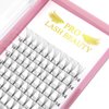 Premade Volume Eyelash Extensions Short Stem 8D-C-0.07-10 Premade Fans Eyelash Extensions Volume Lash Extensions .07 .10 Pre made Lash Fans C D Curl (8D-C-0.07,10mm)