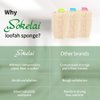 3 Pack Farm natural organic loofah sponge Skin cleansing skin exfoliation Bathing and Back caring spa body shower Puff Scrubber Lofa Loofa Luffa Loffa Daily skin care