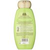 Garnier Whole Blends Refreshing 2in1 Shampoo with Green Apple & Green Tea Extracts, 12.5 fl. oz.