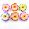 10Pcs Multicolor Hawaii Plumeria Flower Clips Hawaiian Flower Hair Barrettes Beach Party Hair Clips Artificial Tropical Flower Hairpins for Beauty and Personal Care Wedding 7cm，Clips and Barrettes