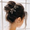 AW BRIDAL 2Pcs Wedding Hair Pins Pearl Bridal Hair Pieces Pins Bridal Hair Comb Clip for Wedding Hair Accessories for Brides Bridesmaids(Gold)