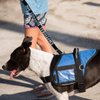 WORKINGSERVICEDOG.COM Emotional Support Dog Leash - Great Identification with or Without an Emotional Support Animal Vest - Includes Five ESA Information Cards