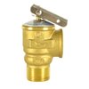HYDRO MASTER Safety Relief Valve With 3/4 Inch Thread 30 PSI ASME Hot Water (30 PSI)