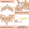 BAHABY Rose Gold Birthday Crowns for Women, It's My Birthday Sash & Rhinestone Birthday Tiara Set Princess Birthday Sash and Headbands for Women Girls Birthday Party Decorations