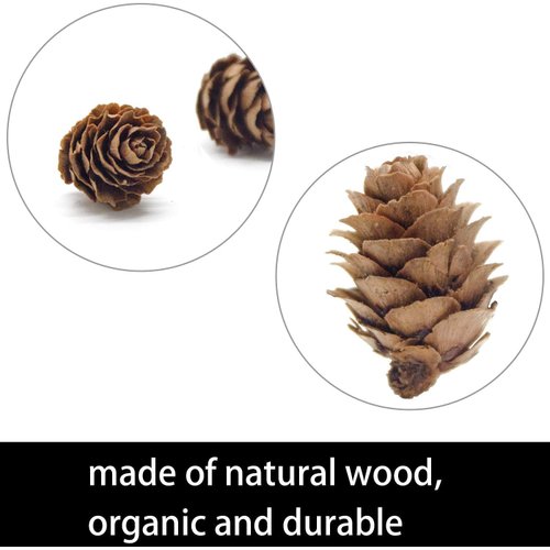 LOMBEX 150 PCS Christmas Natural Mini Pine Cones- 2CM Thanksgiving Small Pinecones Ornaments Vase Fillers for DIY Crafts, Home Decorations,Fall and Christmas,Wedding Decor (Yellow-Brown)