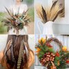 Flying Feathers Natural Pheasant Feathers 4 Style 15-20cm 12pcs Natural Feathers for DIY Craft Home Party Decorations FF03…