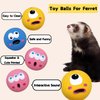 TTMIMIK Ferret Rubber Squeaker Toy Balls Latex Puppy Cat Toy Lovely Interactive Play Tough Teething Toys Big Eyes Printed Ball Washable 4 Pack (4 Pcs)