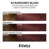 L'Oreal Paris Feria Multi-Faceted Shimmering Permanent Hair Color, High Intensity Hair Dye for 3X Highlights, 42 Burgundy Blush, 1 Hair Dye Kit