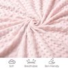 david's kids Minky Baby Blanket for Girls, Soft Lightweight Micro Fleece Blanket with Double Layer, Dotted Backing, Breathable Receiving Blanket for Newborns, 30x40 Inches, Floral Flowers