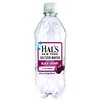 Hal's New York Seltzer Carbonated Black Cherry Flavored Sparkling Water, Zero Sugar, Zero Calorie, Zero Carbs, 20 Fl Oz (Pack of 24)