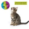 Cat Toy Ball with Bell,Cat Plastic Jingle Balls Pet Toy Cat Bell Ball Pounce Chase Rattle Toy for Cats Kitten Plastic Cat Toys Jingle Balls Pounce Chase Rattle Ball Toys
