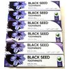 Yunani Herbs Fluoride Free Paraben Free Anti-inflammatory Cavity Protection Black Seed Toothpaste-6 Pack of 6.5 oz Tubes Clean Mint 100% Natural