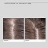 COSMEDIX Fortify Cooling Enzyme Scalp Treatment, 1 ct.