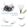 1000 Promade Fans Handmade 3D~ 8D 0.07mm Premade Fans Eyelash Extensions 8-15mm Ten Mixed Lengths C D Curl Multiple Options Loose Fans Lash Extensions Promades Eyelash Fans (8D 0.07 D 8-15mm)