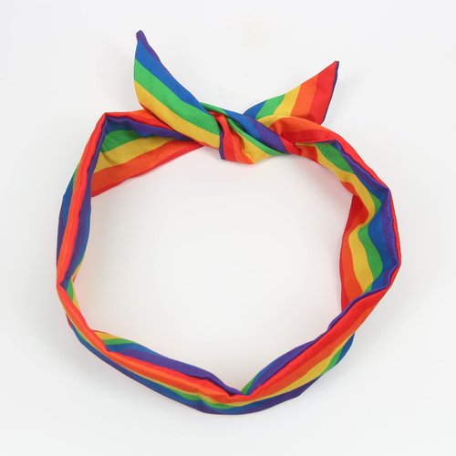 Tinsow 2 Pcs Rainbow Headbands, Rainbow Hair Band, Elastic Ponytail Holder Hair for Girl Women (Rainbow)