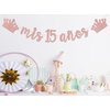 mis 15 años Banner, Mis Quince Años Sign For 15th Birthday Party Decoration For Girls, My 15th Birthday Party Decorations Supplies Rose Gold Glitter