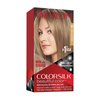 Revlon Colorsilk Hair Color 60 Dark Ash Blonde, Pack of 3