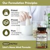 DailyNutra Mushroom Defense Formula - Immune Support Supplement | Organic Mushrooms, Hot Water Extracted - Reishi, Chaga, Maitake, Shiitake & Turkey Tail (90 Capsules)