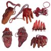 XONOR Halloween Fake Bloody Severed Hands Feet Broken Body Parts for Haunted House Halloween Zombie Party Decorations (7 Pcs)