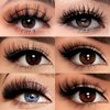 AddFavor Cat Eye Lashes False Eyelashes Natural Look Wispy Fluffy Clear Lash Band Fake Eyelashes 7 Pairs Pack 3D Winged End Eye Elongated Strip Lashes