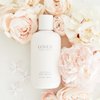 Loved Body Lotion by Lauren Conrad - Moisturizing Hand and Body Cream for Women - Feminine, Floral Scent with Notes of Citrus, White Tea, Jasmine, and Peony - 6.8 Fl Oz